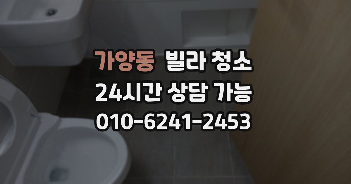가양동 빌라 청소