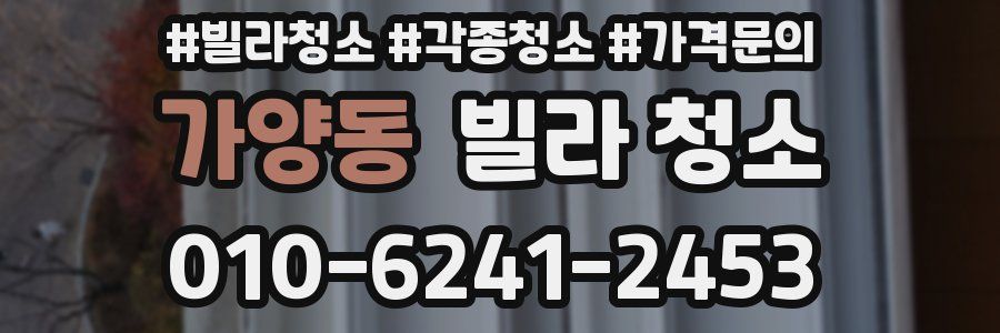 가양동 빌라 청소