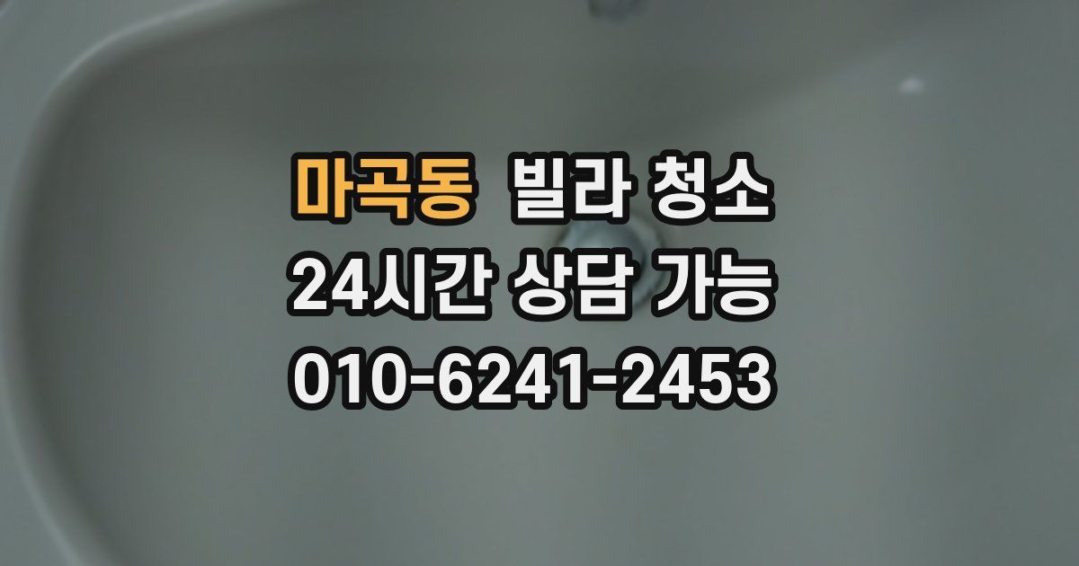 마곡동 빌라 청소