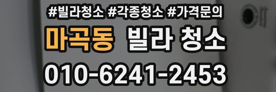 마곡동 빌라 청소