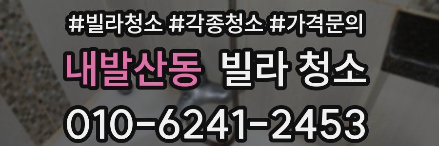 내발산동 빌라 청소