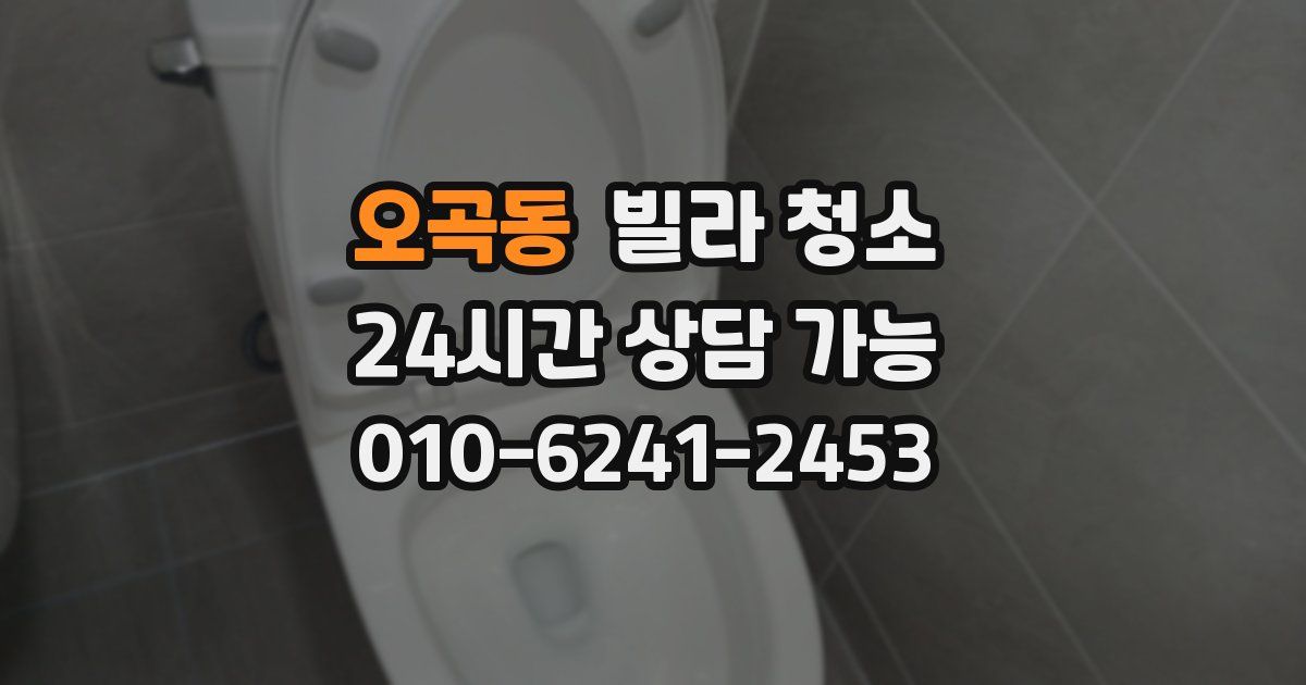 오곡동 빌라 청소