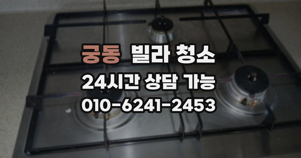 궁동 빌라 청소