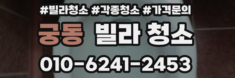 궁동 빌라 청소