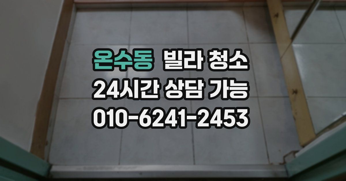온수동 빌라 청소