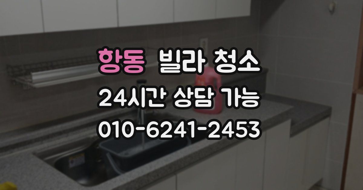 항동 빌라 청소