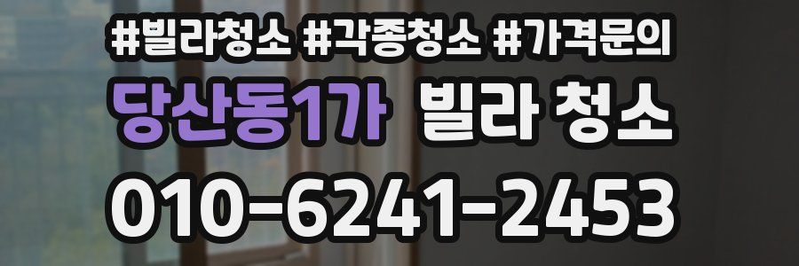 당산동1가 빌라 청소