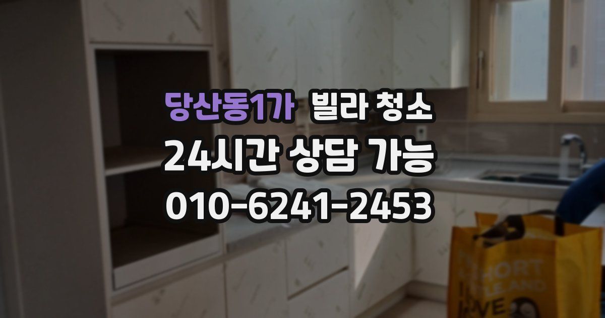 당산동1가 빌라 청소