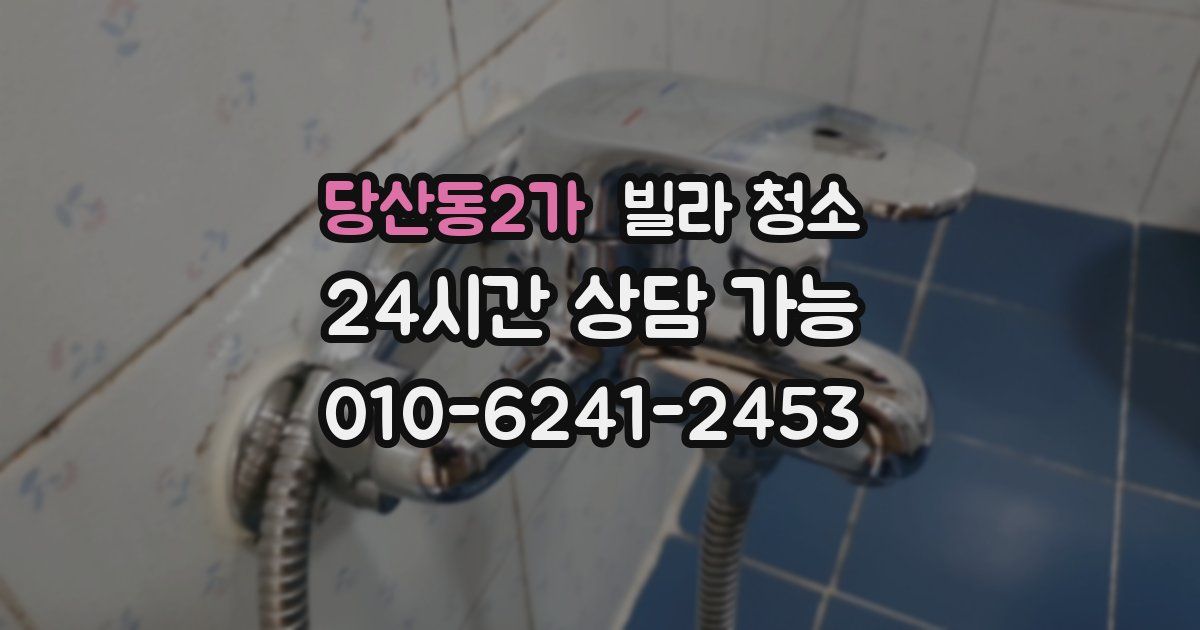 당산동2가 빌라 청소