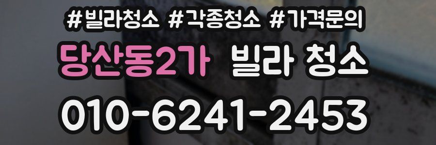당산동2가 빌라 청소