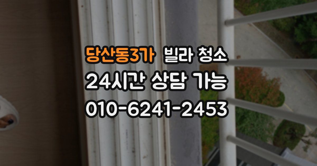 당산동3가 빌라 청소