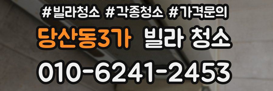 당산동3가 빌라 청소