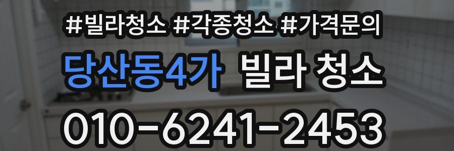 당산동4가 빌라 청소