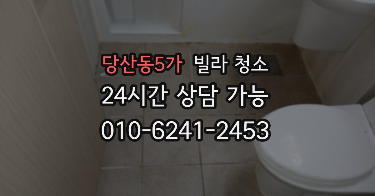 당산동5가 빌라 청소