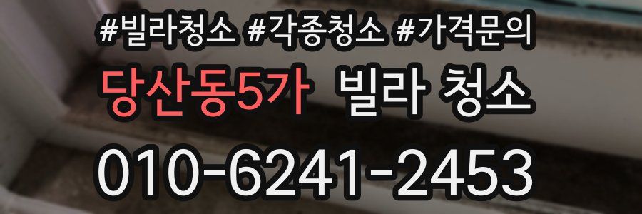 당산동5가 빌라 청소