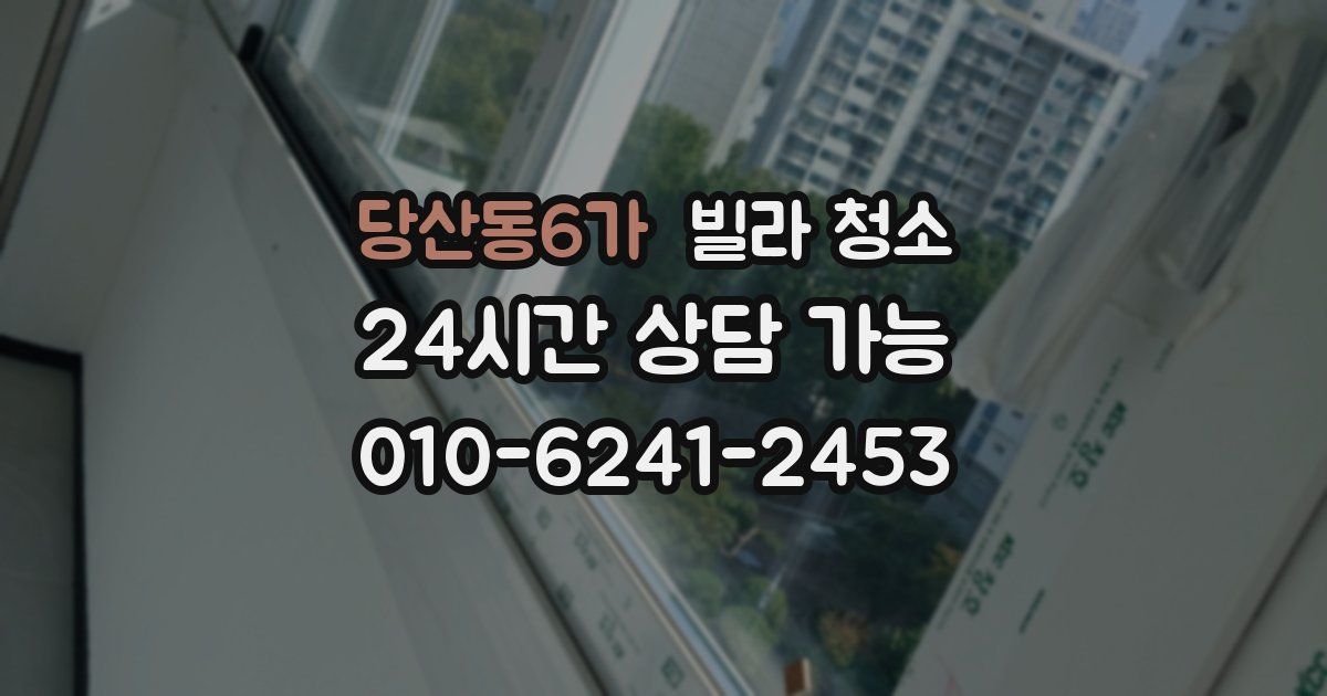 당산동6가 빌라 청소