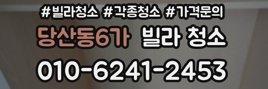 당산동6가 빌라 청소