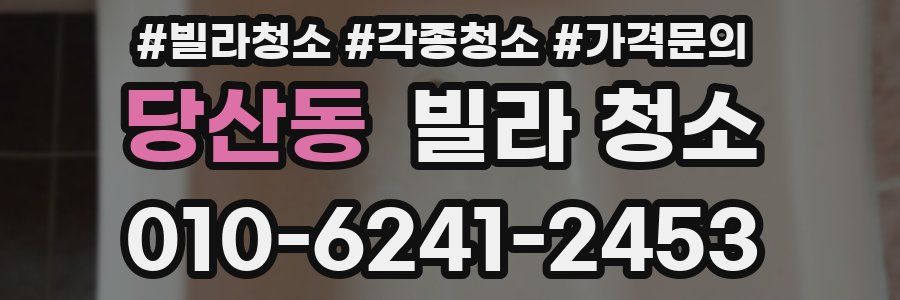 당산동 빌라 청소