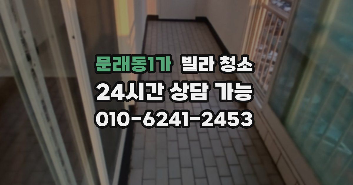문래동1가 빌라 청소