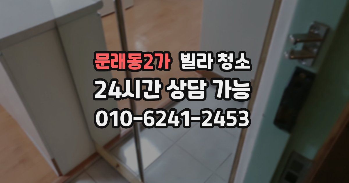 문래동2가 빌라 청소