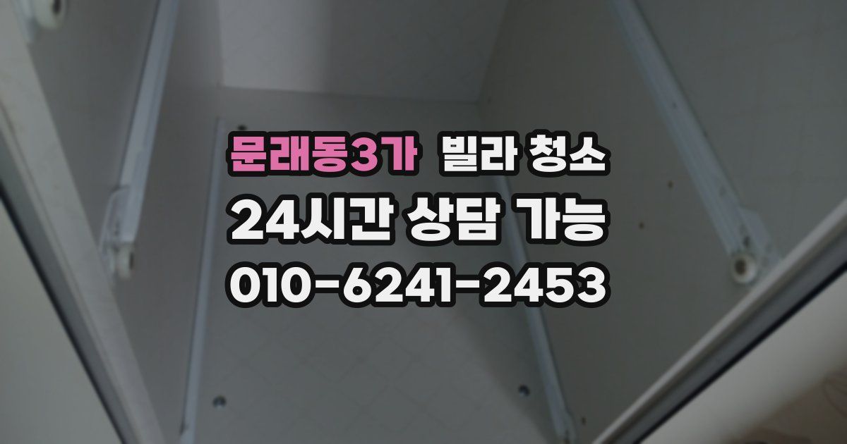 문래동3가 빌라 청소