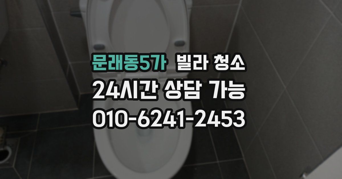 문래동5가 빌라 청소