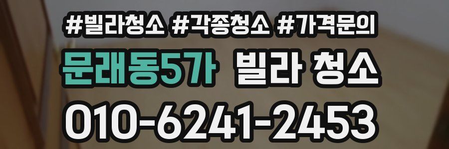 문래동5가 빌라 청소