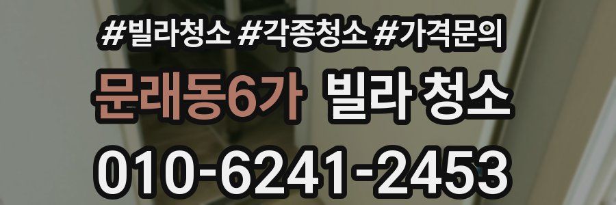 문래동6가 빌라 청소