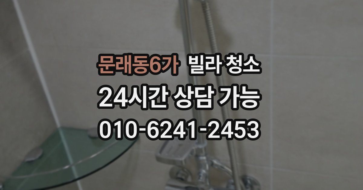 문래동6가 빌라 청소