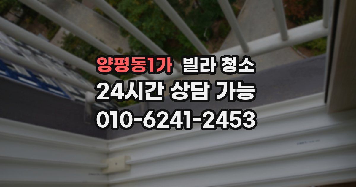 양평동1가 빌라 청소