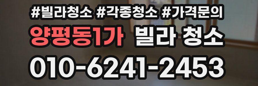 양평동1가 빌라 청소