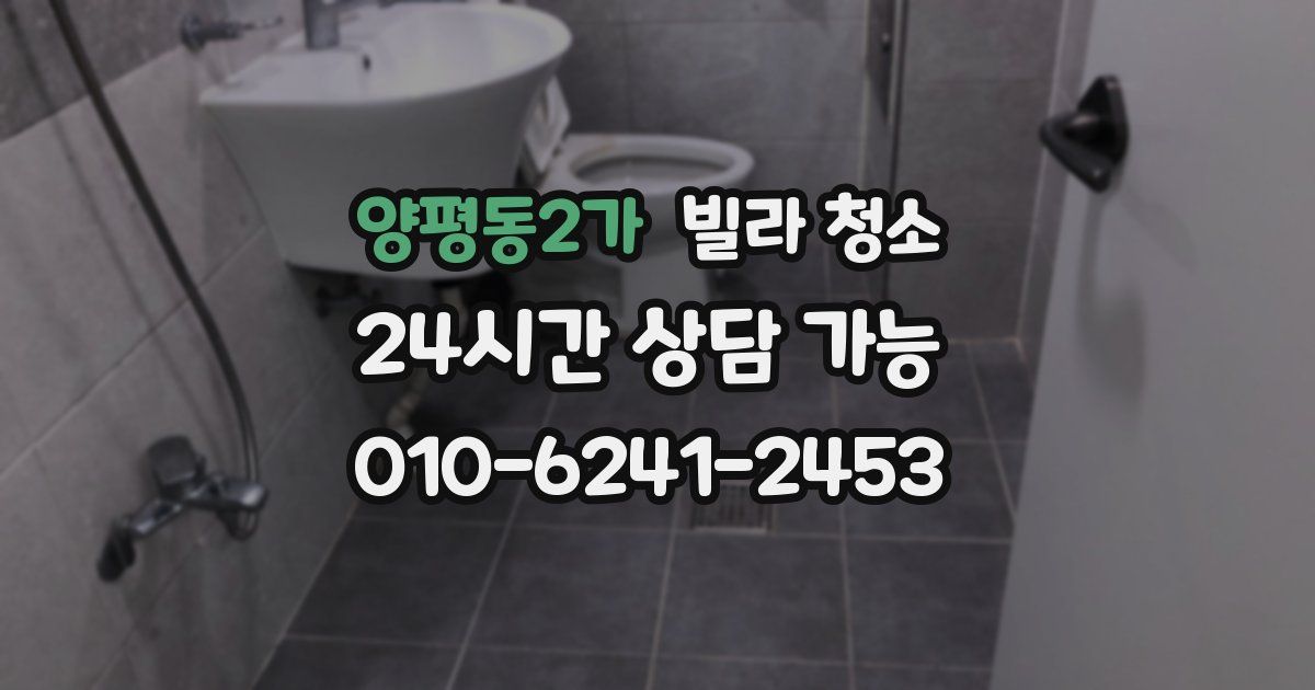 양평동2가 빌라 청소