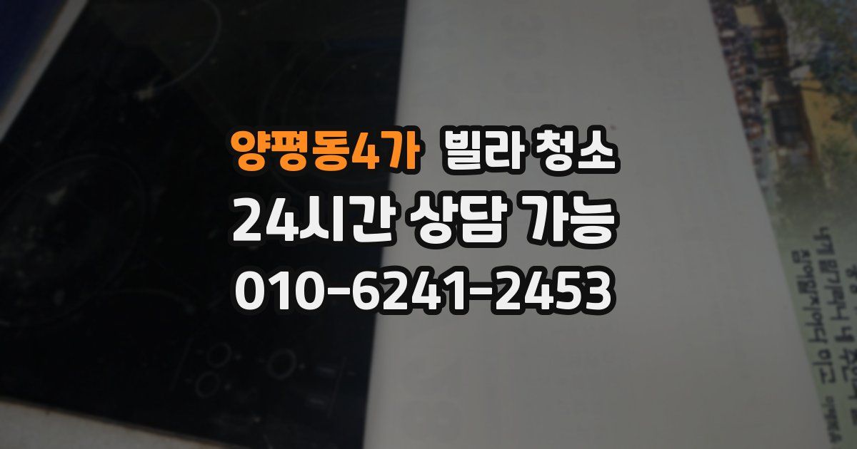 양평동4가 빌라 청소