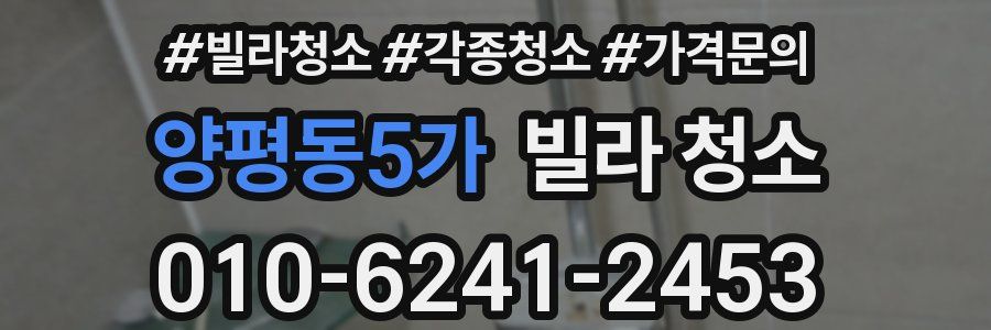 양평동5가 빌라 청소