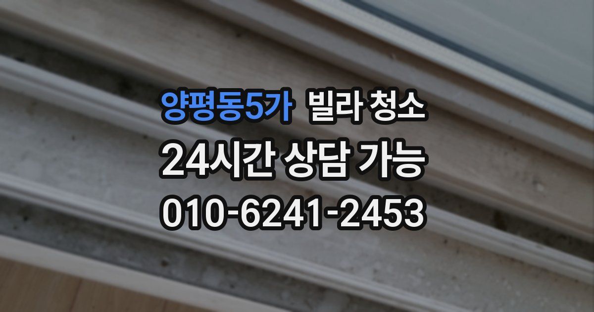 양평동5가 빌라 청소