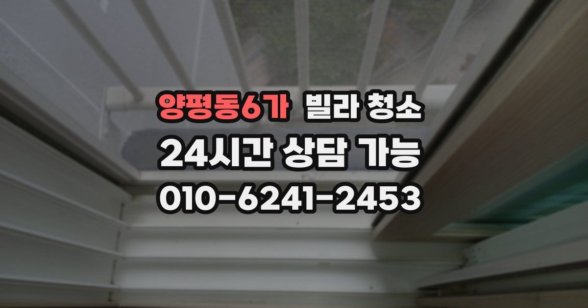 양평동6가 빌라 청소