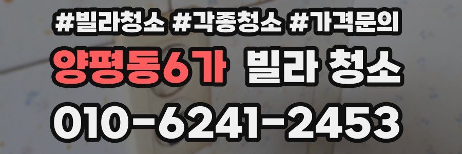 양평동6가 빌라 청소