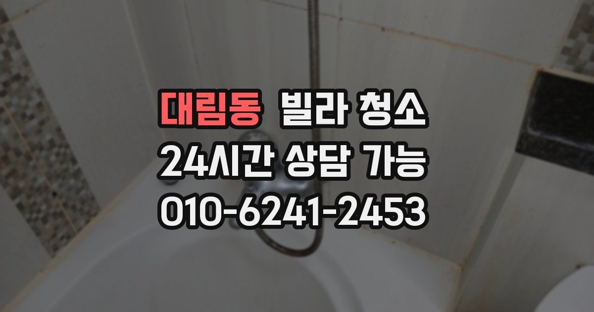 대림동 빌라 청소