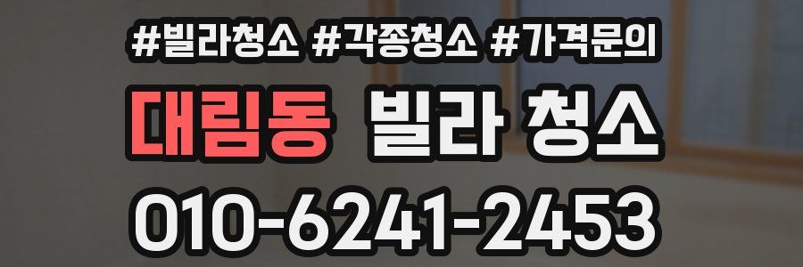 대림동 빌라 청소
