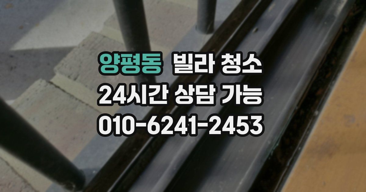 양평동 빌라 청소