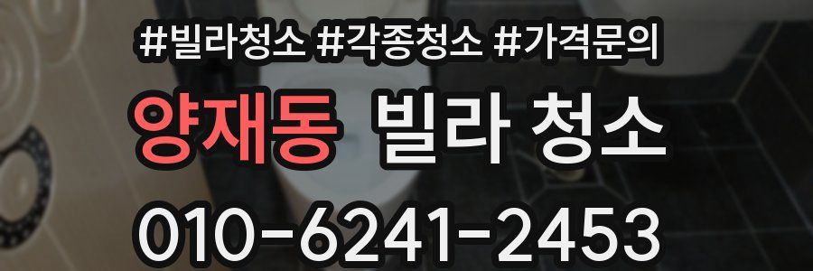 양재동 빌라 청소