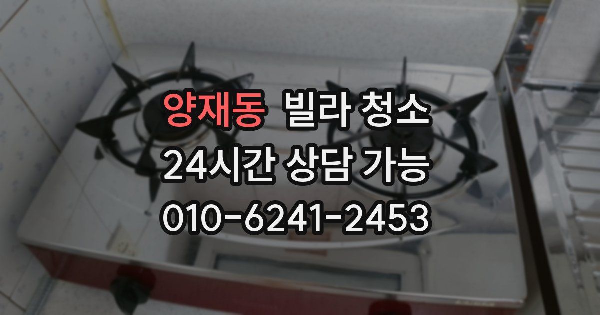 양재동 빌라 청소