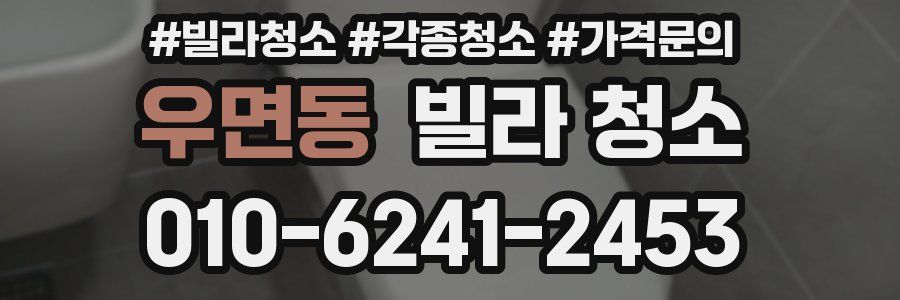 우면동 빌라 청소