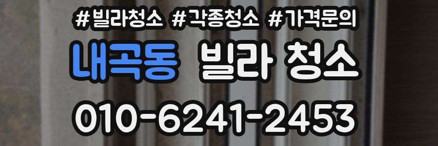 내곡동 빌라 청소