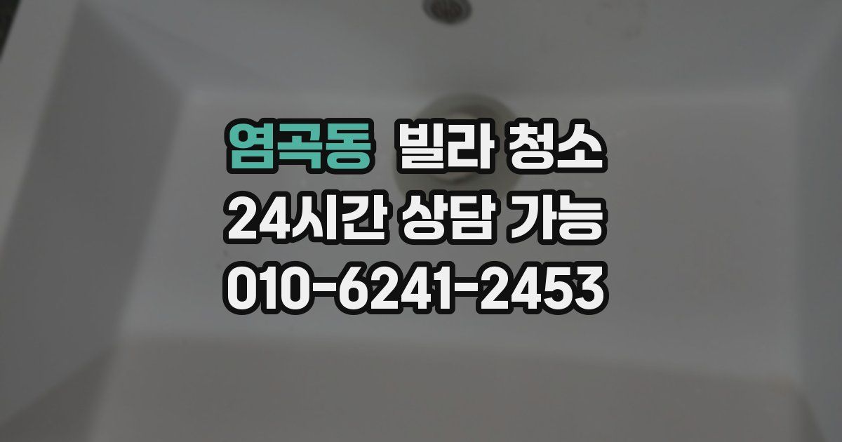 염곡동 빌라 청소