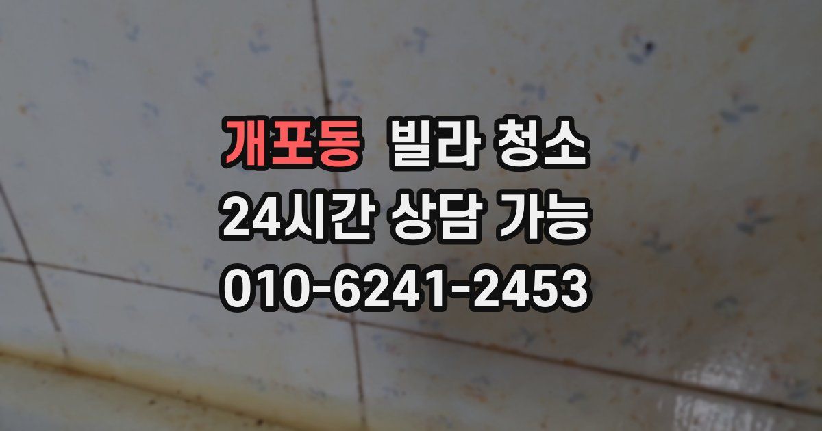 개포동 빌라 청소