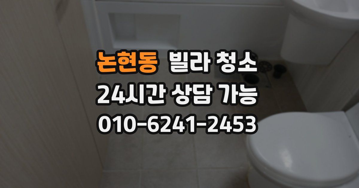 논현동 빌라 청소