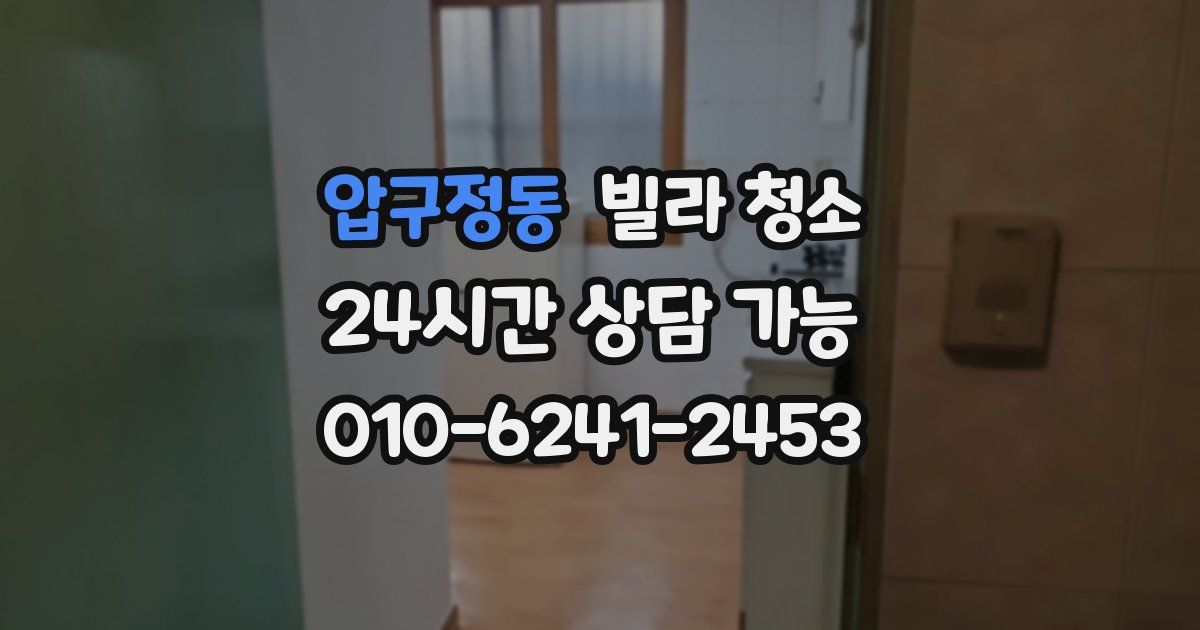 압구정동 빌라 청소