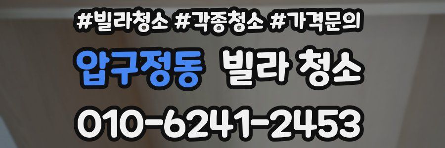 압구정동 빌라 청소