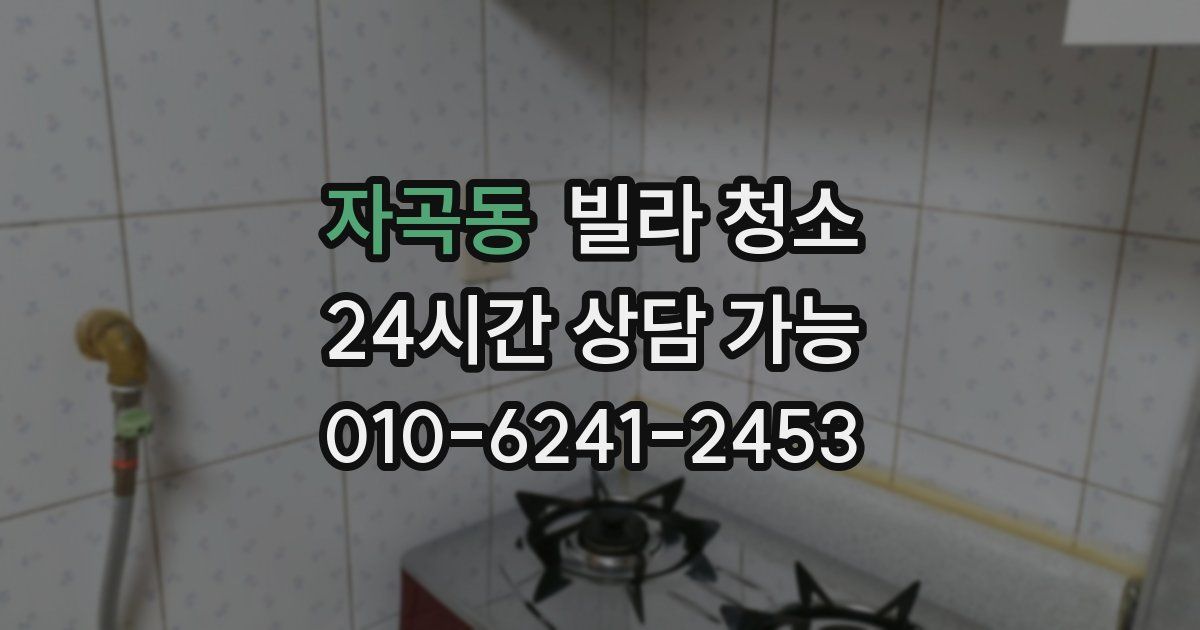 자곡동 빌라 청소